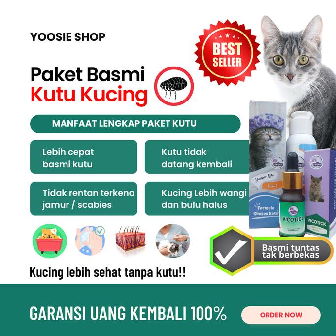 Paket Basmi Kutu Kucing  Vicocat Shampo Kutu Kucing Obat Kutu Kucing