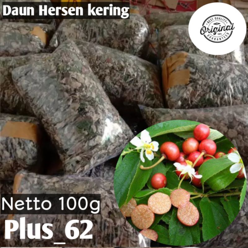 

Daun Hersen-Hersen Kering Original Teh Asli Daun Hersen 100Grm Sudah P-IRT
