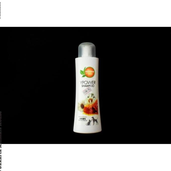 Jual ARIES YPOWER SHAMPOO 250 ML #Murah