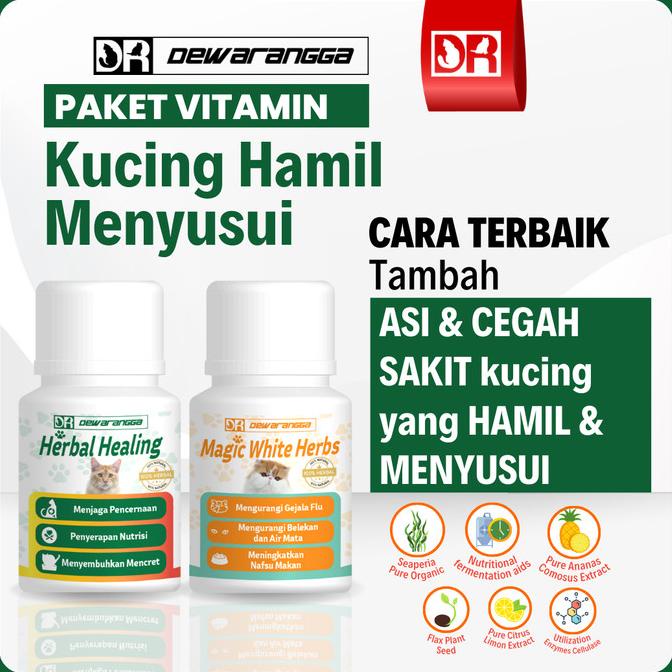 Vitamin Kucing Hamil dan Vitamin Kucing Menyusui Dewarangga