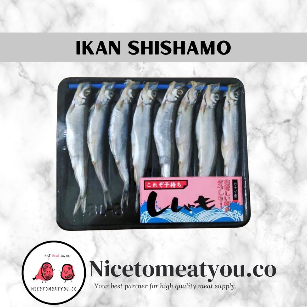 

NEW IKAN SHISHAMO ( IKAN TELUR / IKAN CAPELIN / IKAN CIPUNG ) GRADE AA NEW ARRIVAL DI BULAN INI