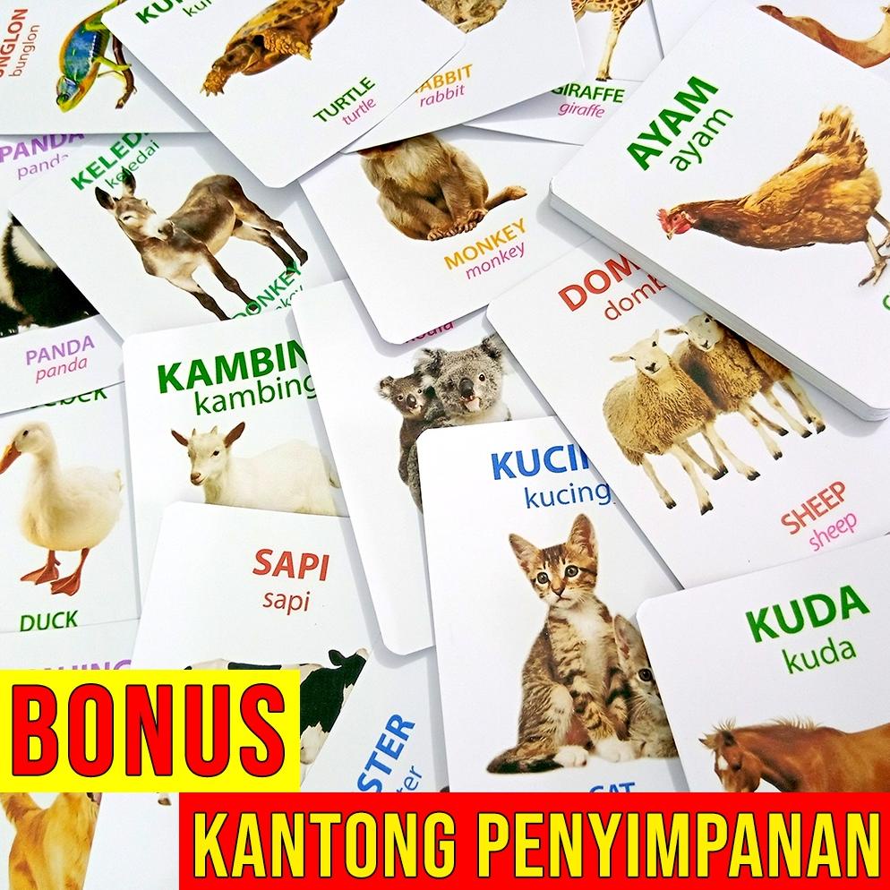 Promo Hari Ini Grosir Mainan Kartu Flash Card 40 Kartu Hewan Seri 1 (2 Bahasa Indonesia Dan Inggris)