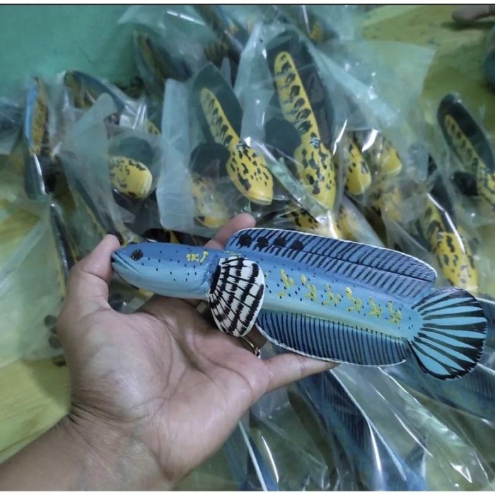 - patung channa blue pulcra '