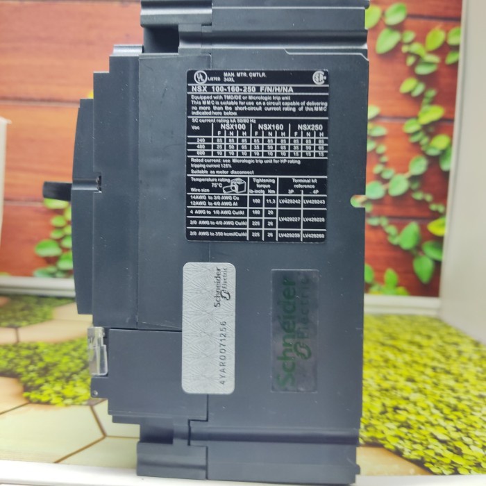 Promo Mccb Schneider Nsx100F 3X100A Lv429630 Nsx 100 F 3P 100A Murah