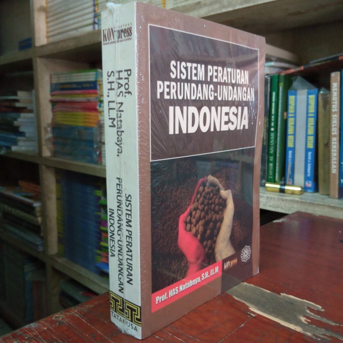 HOT SALE SISTEM PERATURAN PERUNDANG-UNDANGAN INDONESIA - HAS NATABAYA TERBARU