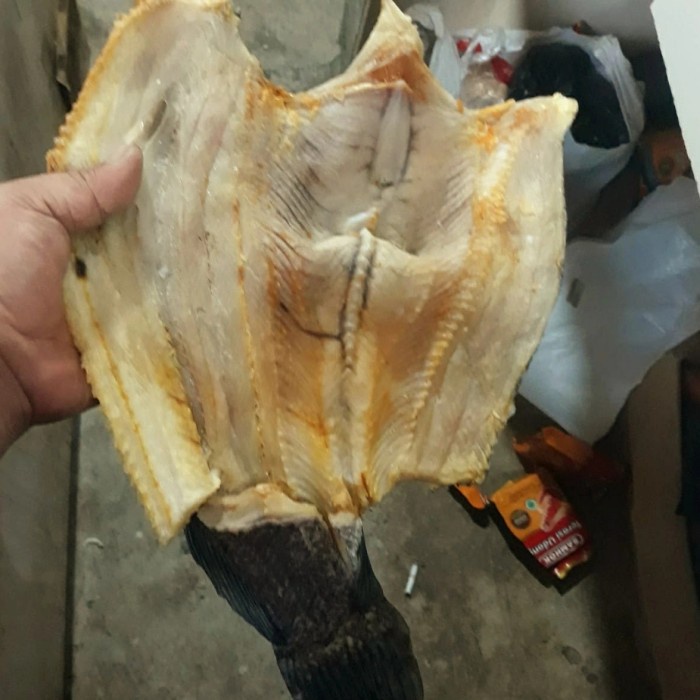 

Ikan Asin Gabus Asli Kalimantan 500 Gr