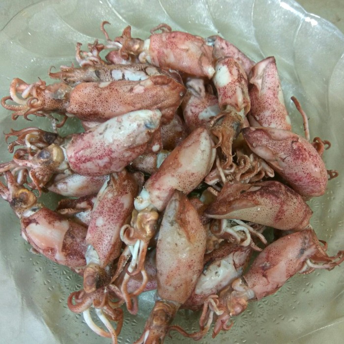

Cumi Asin (Basah) Medium 500 Gram