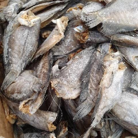 

Ikan Asin Sepat Siem A+ Netto-500Gram Khr