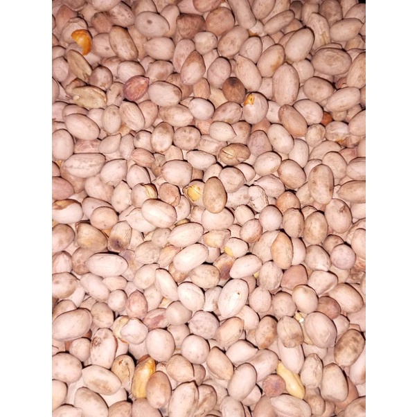 

KACANG BOGARES OLEH-OLEH KHAS TEGAL/KACANG ASIN 250gram 500gram 1kg