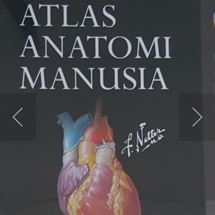 

Buku Atlas Anatomi Manusia Frank H Netter Md Bewarna Full