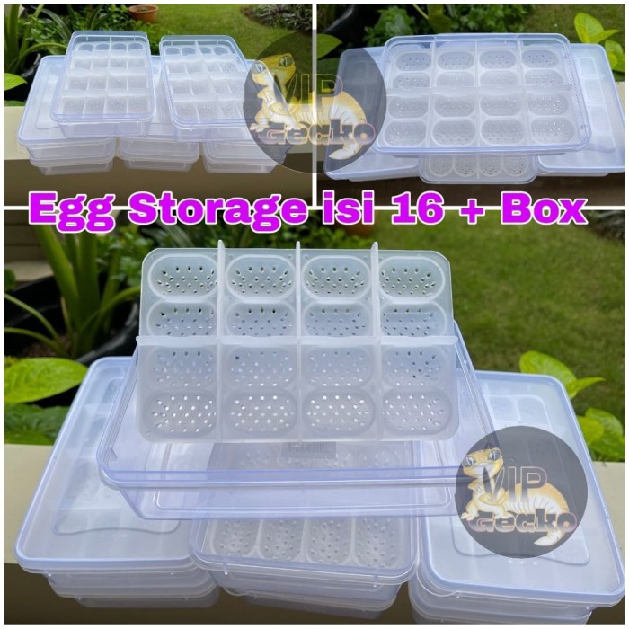Promo Incubator Reptile + Box - Egg Tray Isi 16 Tempat Telur Gecko, Bd, Dll