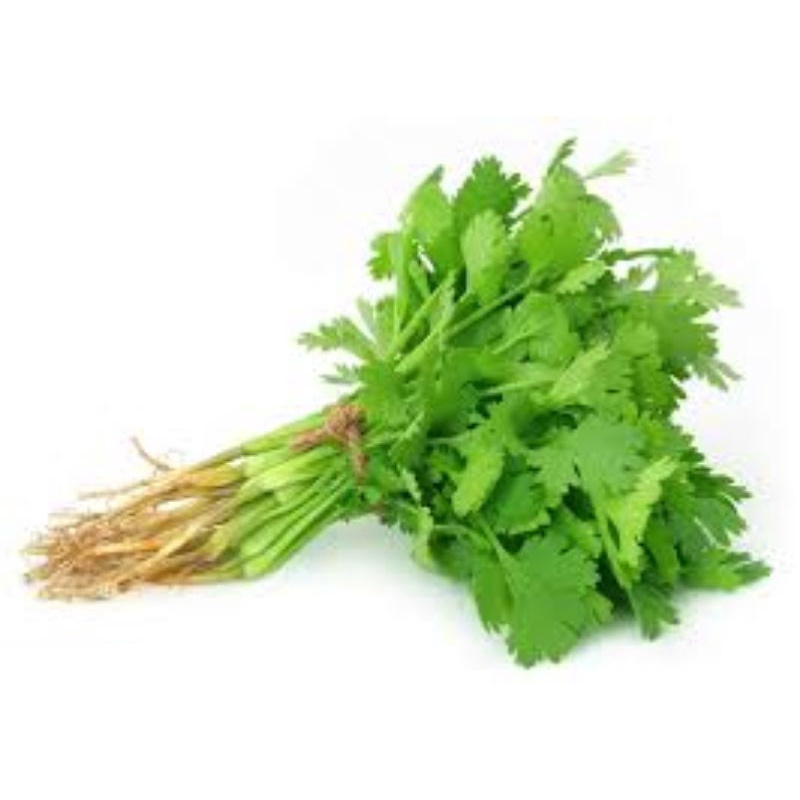 

Daun Ketumbar / Coriander 50gr - Bakul Sayur Bandung