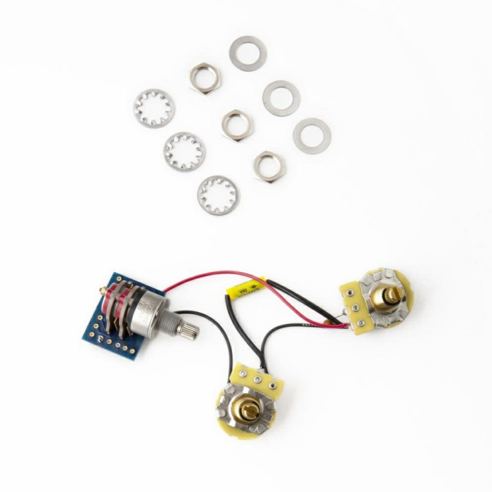 ✨Ori Prs Custom 22/24 Drop In Electronics Rotary Diskon