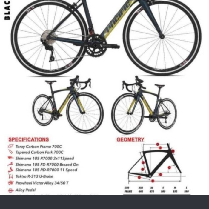 ✨Ori Sepeda Balap Pacific Roadbike Primum 5.3 Shimano 105 Diskon