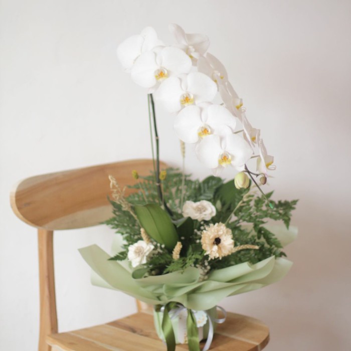 [New] Fresh Single Orchid  Dried Flowers Diskon