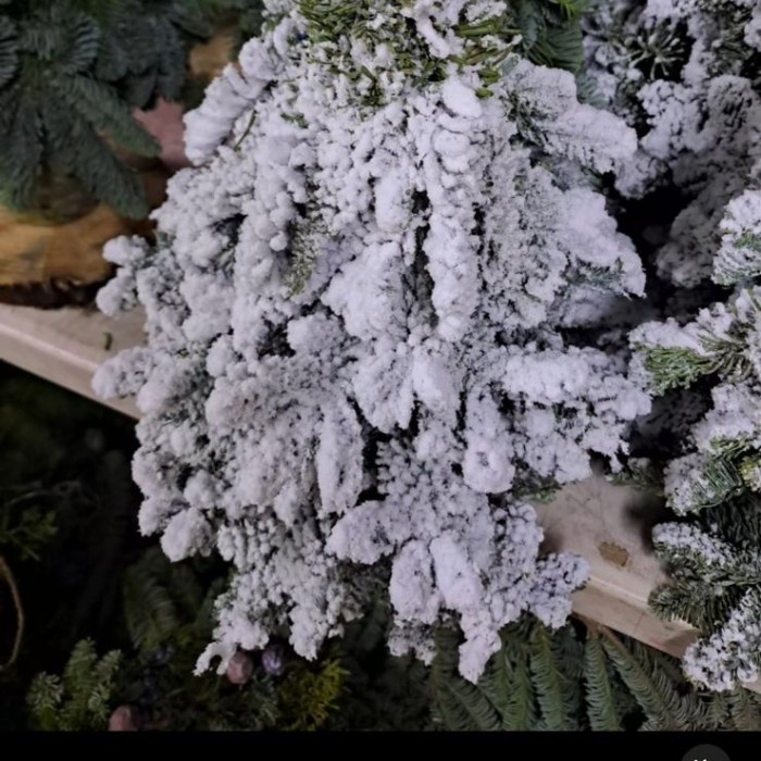 [New] Nobilis Christmas Tree Snow Pohon Natal 40 Cm Terbaru