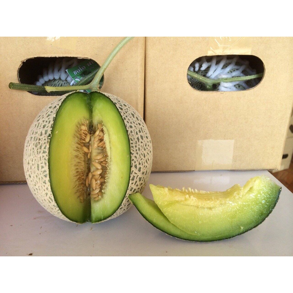 5 BUTIR BIJI / BENIH MELON JEPANG KIMOJI DAGING HIJAU