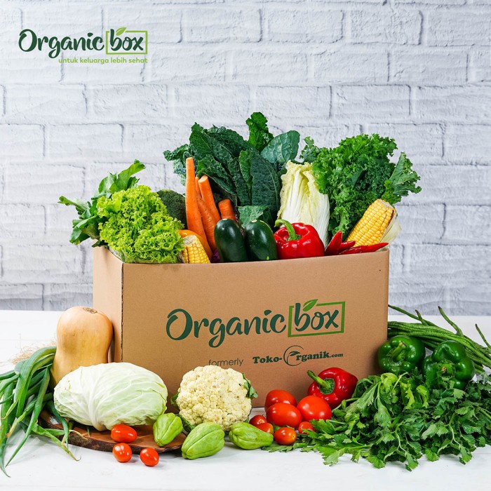 

Rumah Tani Organik Panwangi