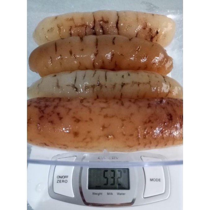 

haisom/hoisem/teripang gosok asli belitung