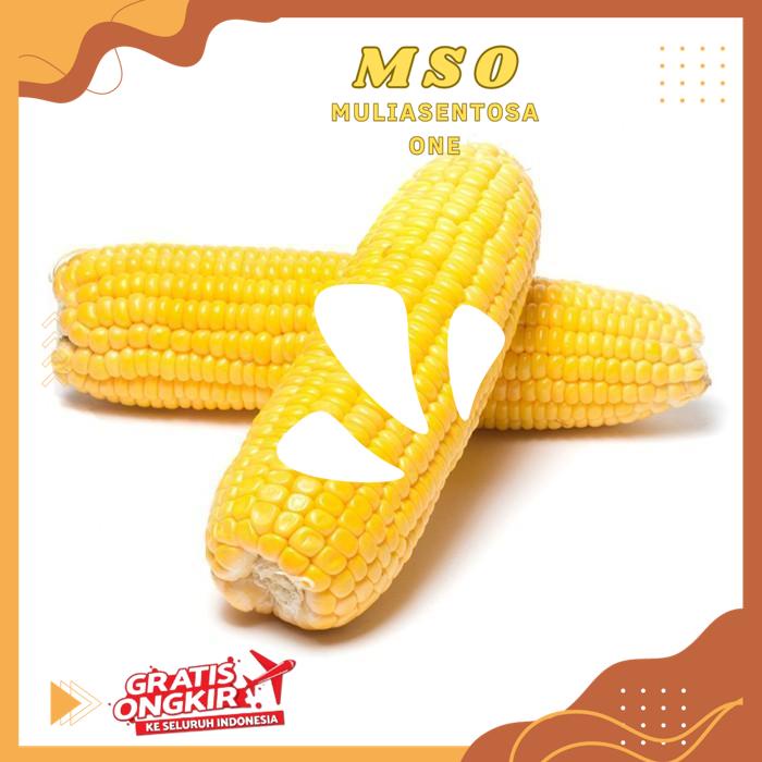 

JAGUNG MANIS KUPAS 700 GR - 750 GR BEST QUALITY PRODUCT !!