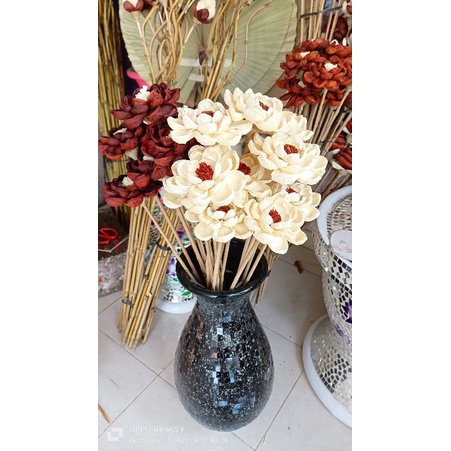 1 Batang Bunga teratai klobot