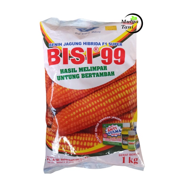 Benih Jagung Bisi 99 1KG