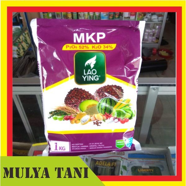 Pupuk MKP Lao Ying 1 KG