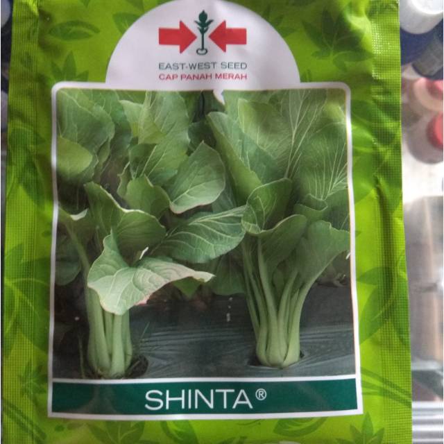Benih Sawi Caisim Shinta
