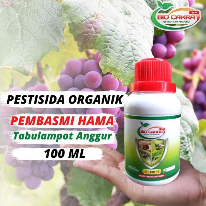 Pestisida Organik Tanaman Tabulampot anggur brazil, Obat Pembasmi hama