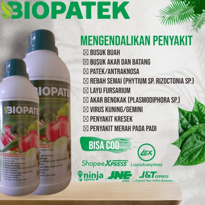 Laris Obat Busuk Batang Tanaman Cabe Ampuh, Atasi Patek Cabe Busuk