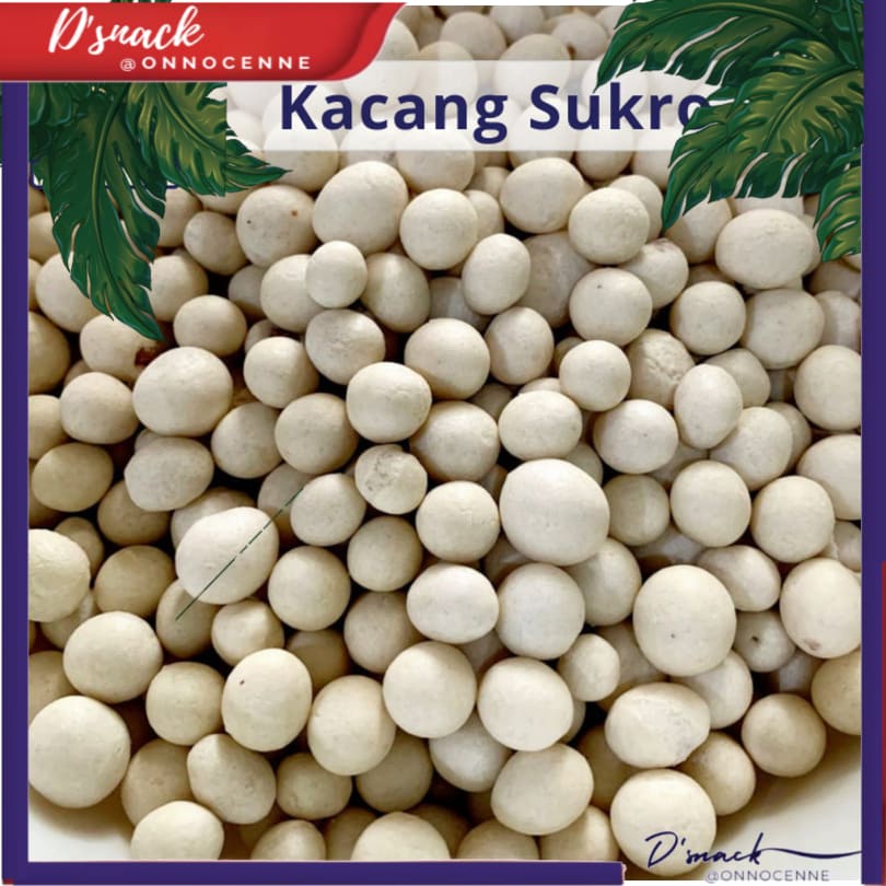 

Kacang Sukro Putih / Kacang Atom Sukro UGLBN