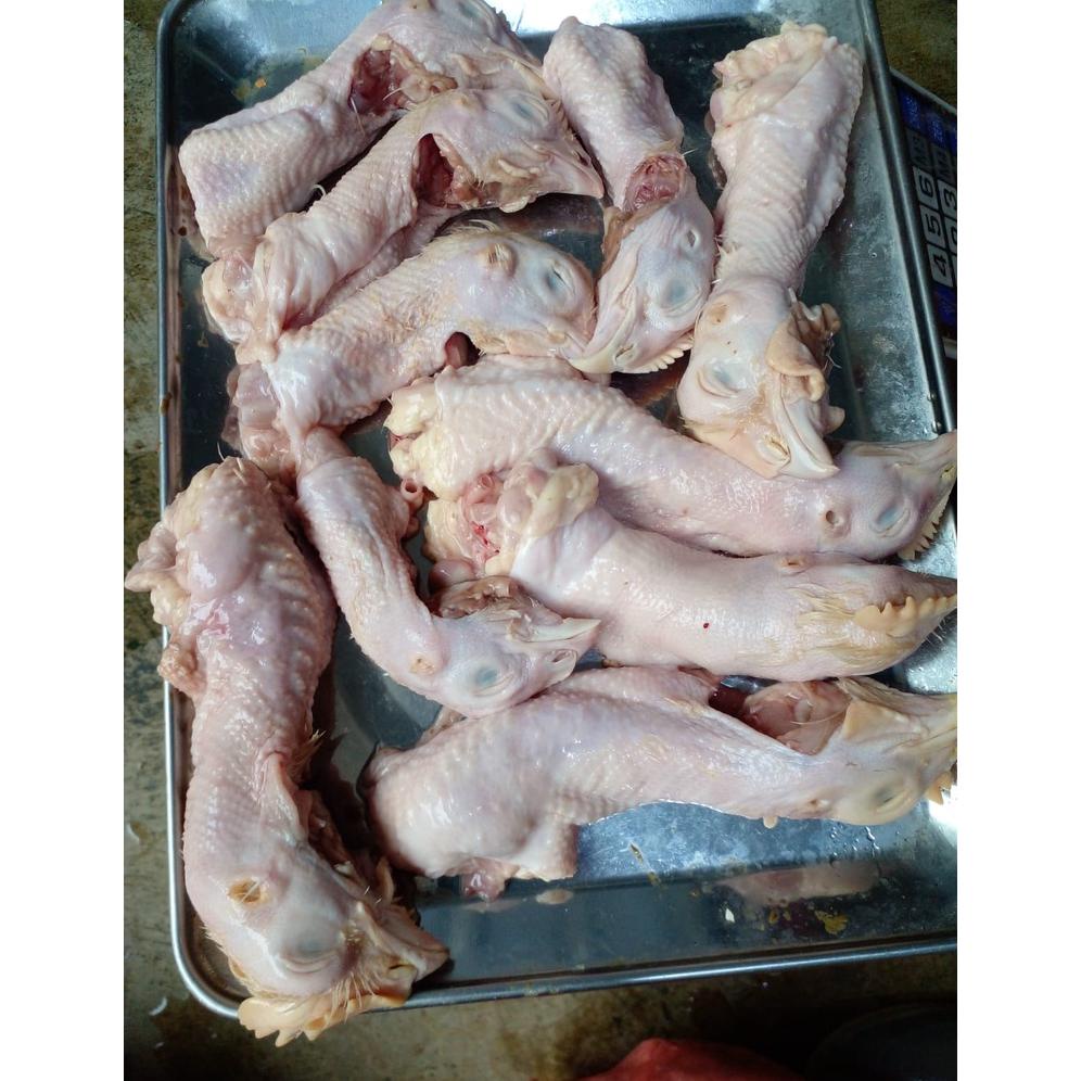 

Ready Kepala ayam broiler isi 1kg/kepala ayam/kepala ayam negri/ayam potong/ayam murah