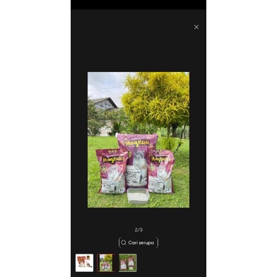 pasir kucing MAGNUM 5LITER wangi kopi