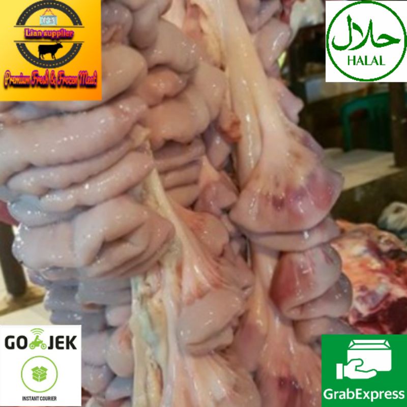 

usus sapi/iso