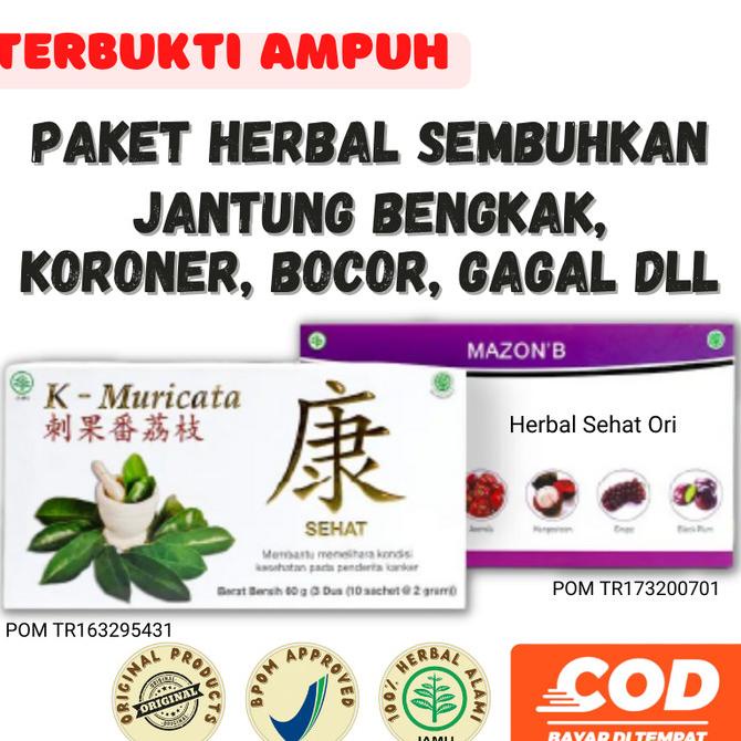 

Obat Herbal Jantung Koroner Bengkak Hipertensi Mazon B dan K Muricata