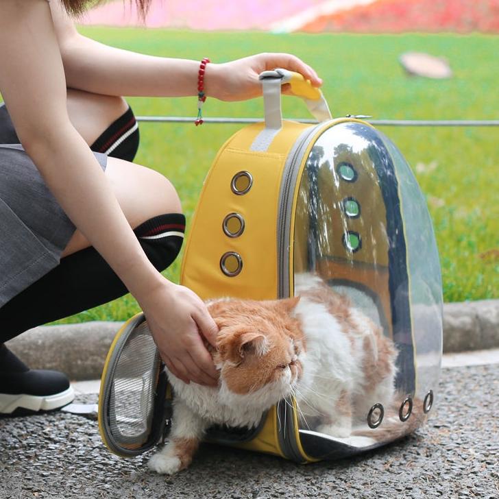 Tas Astronot Kucing Tas Transparan Pet Cargo 588