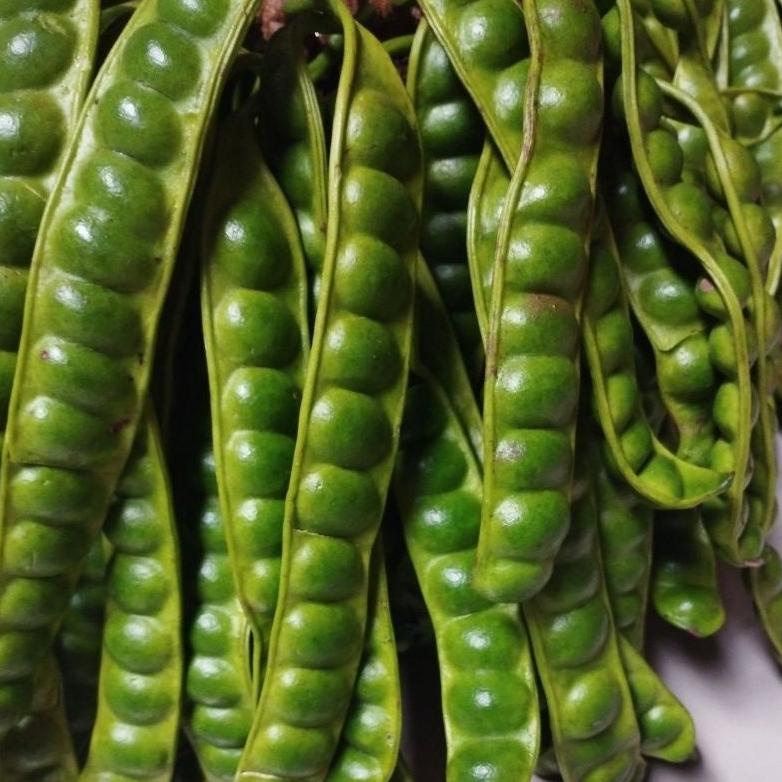 

BERKUALITAS PETE PENDEK 20 PAPAN PROMO