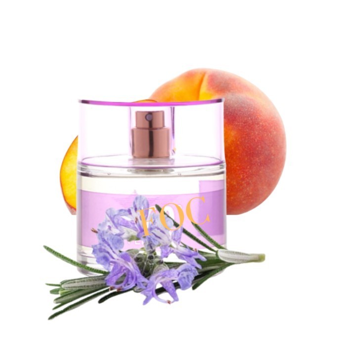 ✅New Ori Arabian Oud 360 Woman Edp 100Ml Terbaru