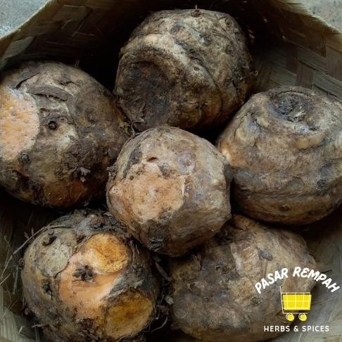 

Termurah temulawak segar 1kg herbal Rempah