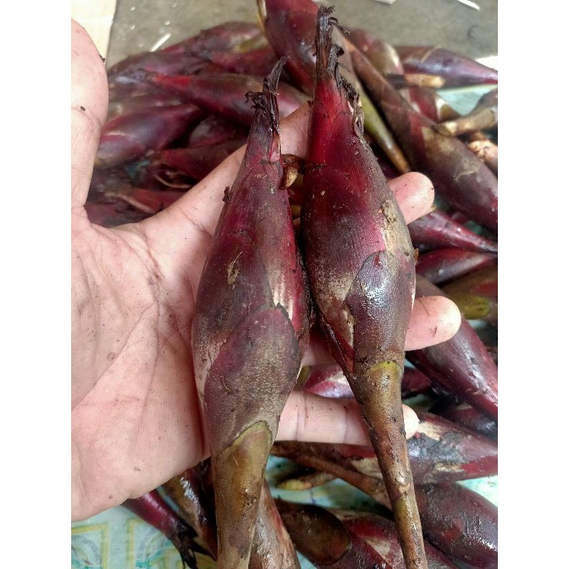 

buah pining bawang golobe almahera muda per 500 grm