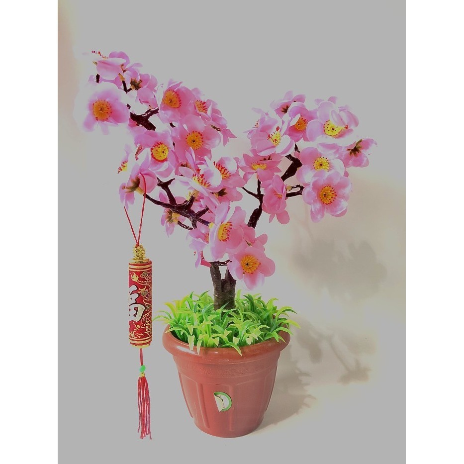 #@#@#@#@] Dekorasi petasan imlek hoki