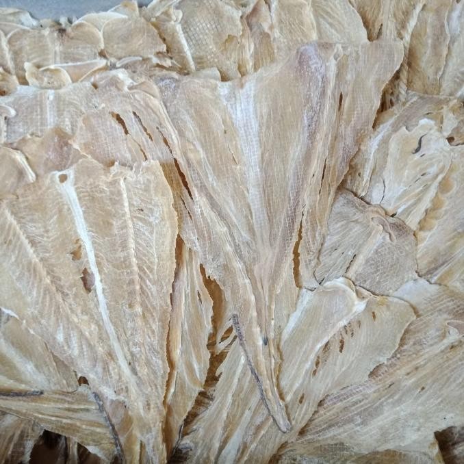 

ikan pari asin Medan