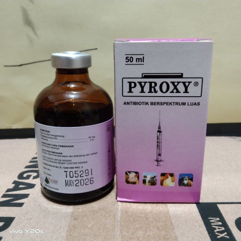 Pyroxy 50ml (Antibiotik berspektrum luas)