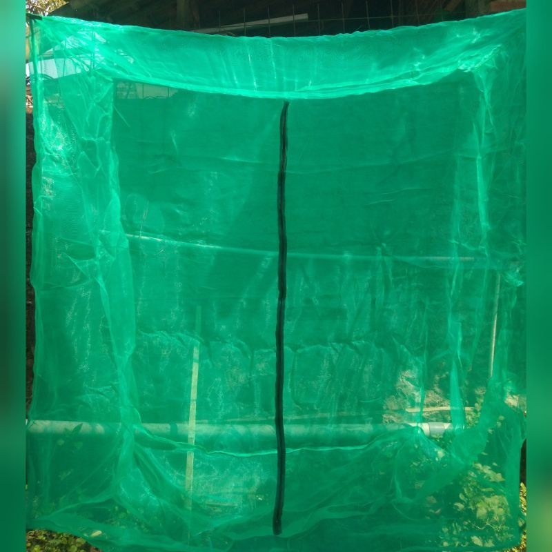 PROMO KANDANG Kandang magot BSF 2 x 2x2