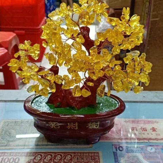 

Terbaru Pernak Pernik Akses Tahun Baru Imlek Pohon Caocai Besar Pot Coklat Limited Edition