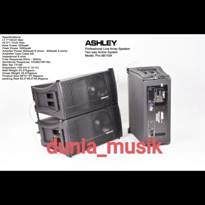 SPEAKER LINE ARRAY ASHLEY PRO DB110 PRODB110 PRODB 110 ORIGINAL ASHLEY