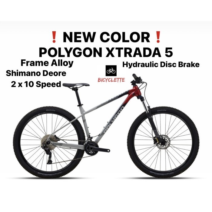 Terlaris Sepeda Gunung Mtb Polygon Xtrada 5 5.0 Shimano Deore 10 Speed Alloy 20 Promo Terbaru