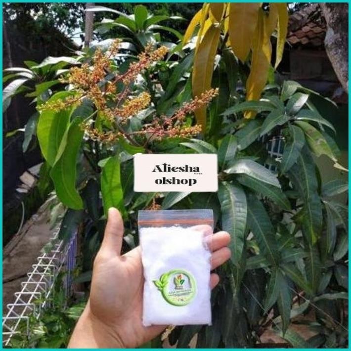 Pupuk Buah Agro isi 100gram