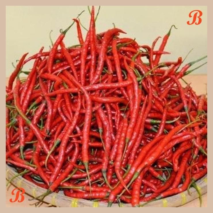 

| HOF | CABAI MERAH KERITING 150 GR ( CURLY RED CHILLIES )