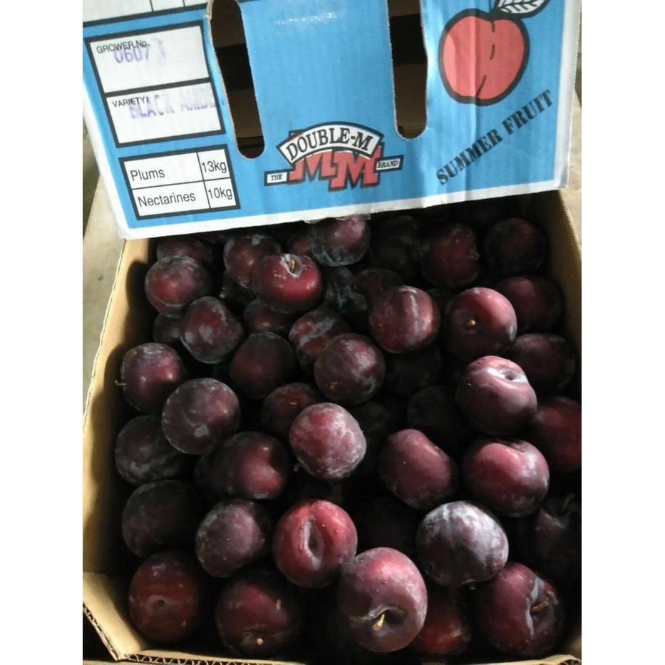 

TERBAIK! BUAH PLUM AUSTRALIA 1 KG ( FRESH BUKAN KERING/FROZEN)
